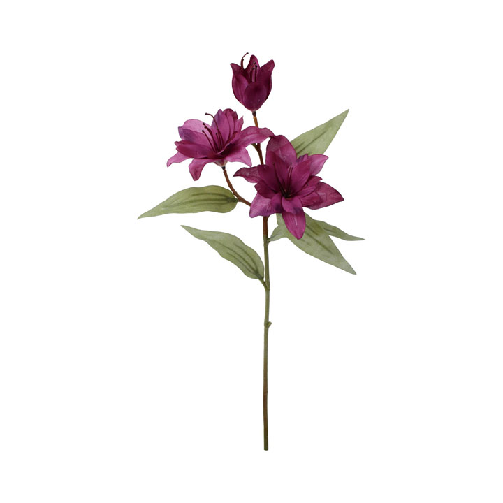 クレールダブルリリー