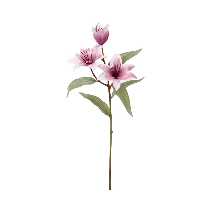 クレールダブルリリー