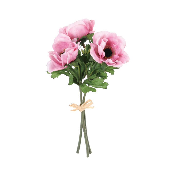 コンフォートアネモネバンドル