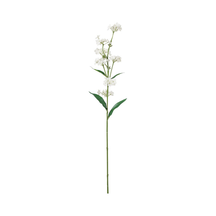 コンフォートワスレナグサスプレー