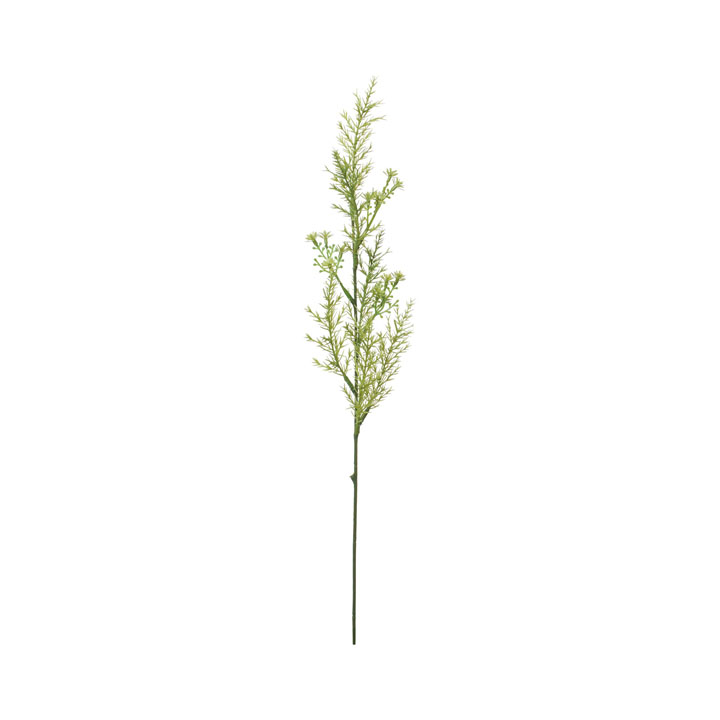 コンフォートジュニパー