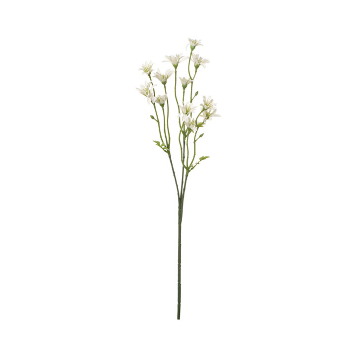 コンフォートデイジースプレー