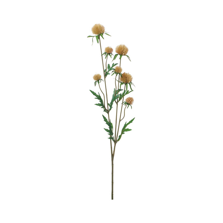 コンフォートグローブシスルスプレー