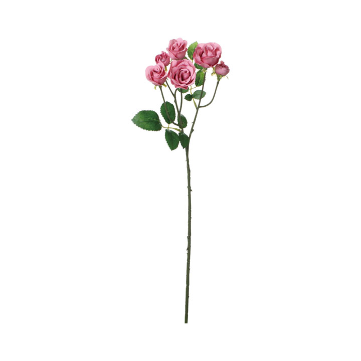 コンフォートミニガーデンローズ