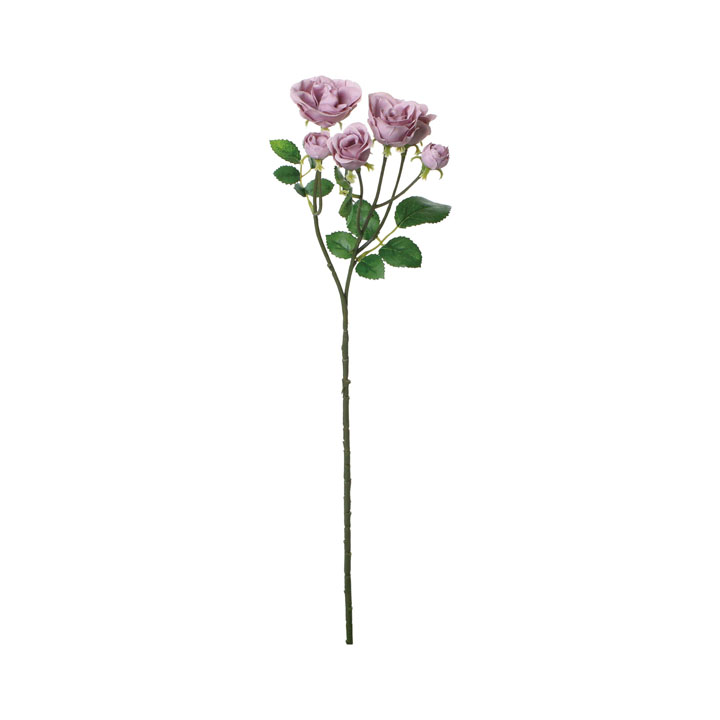 コンフォートミニガーデンローズ