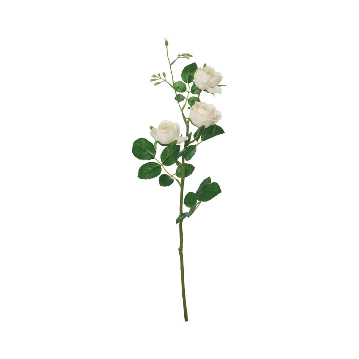 コンフォートミルフィーローズスプレー