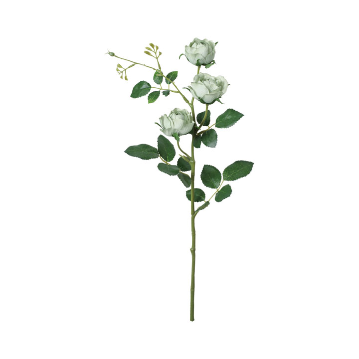 コンフォートミルフィーユローズプレー