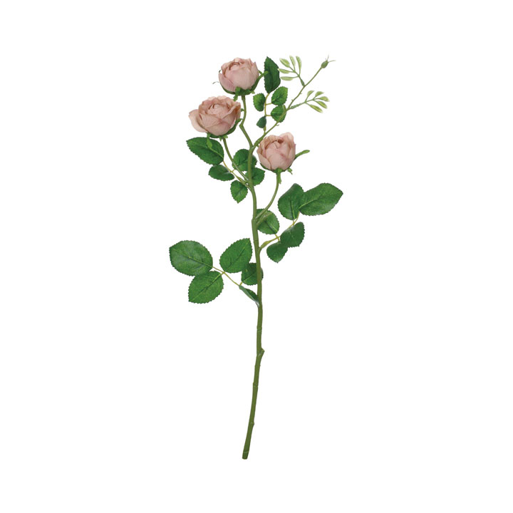 コンフォートミルフィーローズスプレー