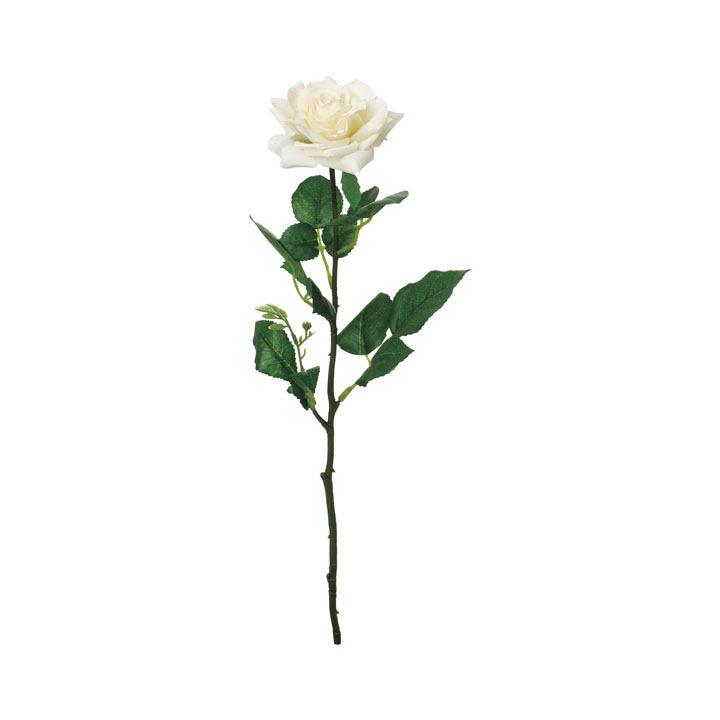 コンフォートリッチローズ