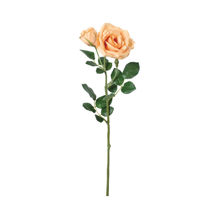 コンフォートエレガントローズ