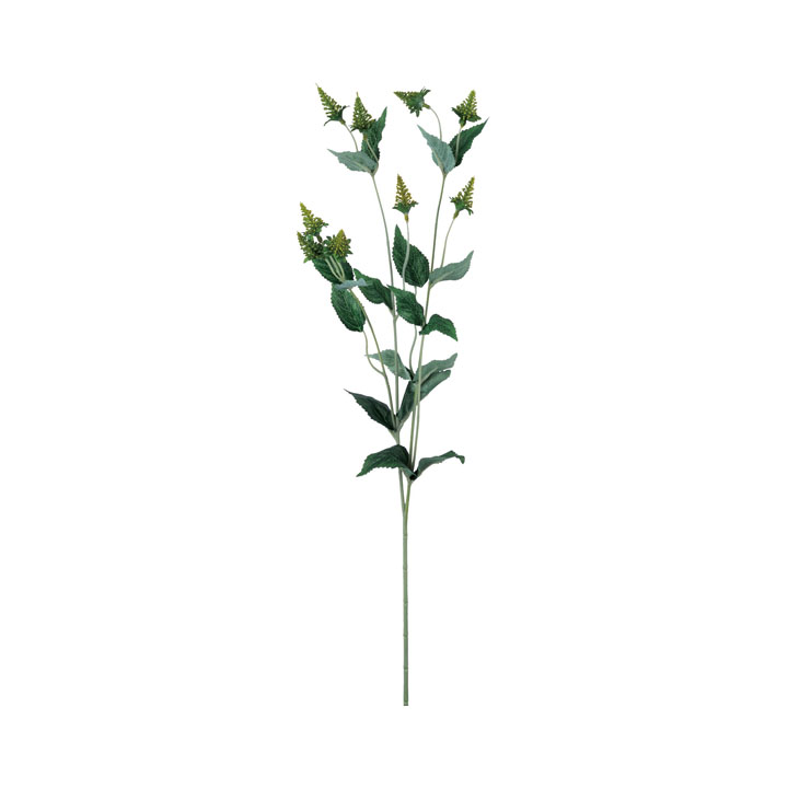 ベリースプレー