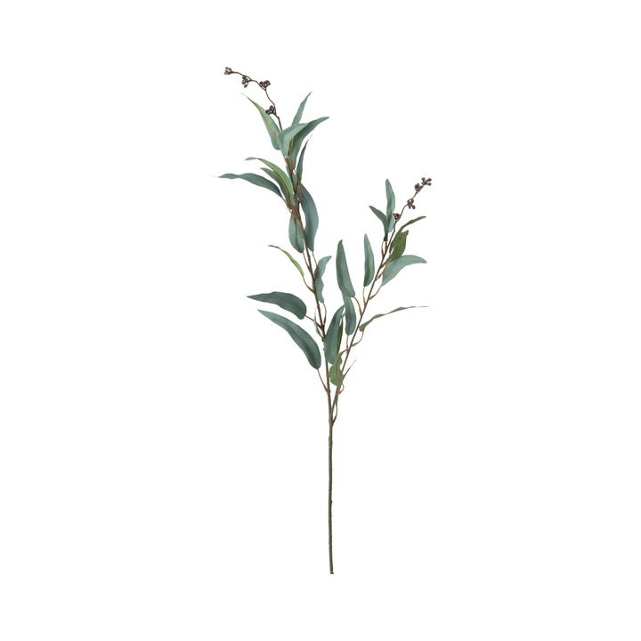 ホソハユーカリスプレー