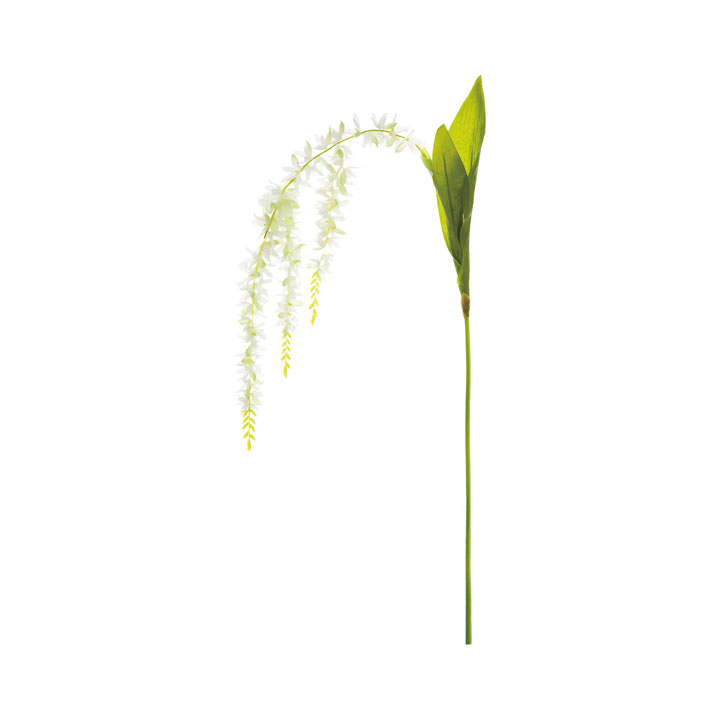 キャスケードオーキッド