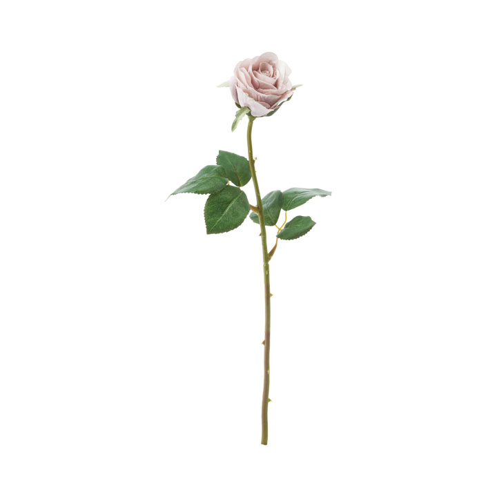 ローズアバランチェ