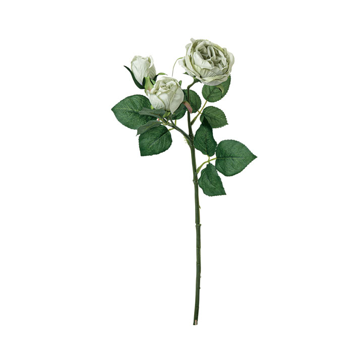 ガーデンローズスプレー