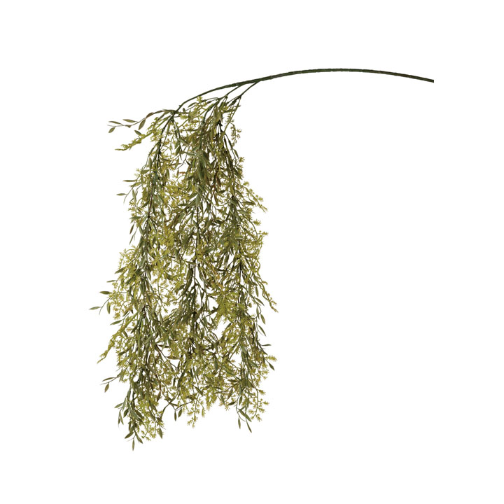 ファーンバインスプレー