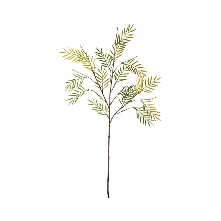 ヤナギスプレー