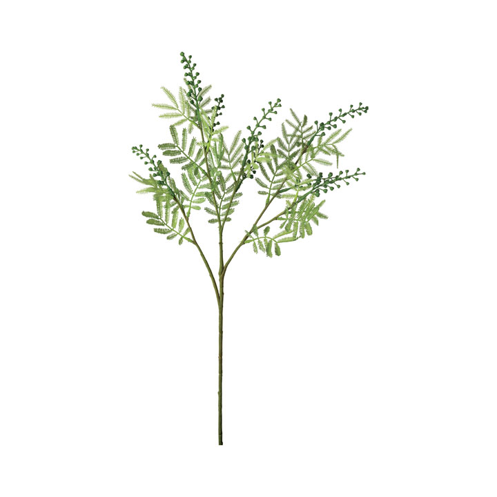 アカシアスプレー