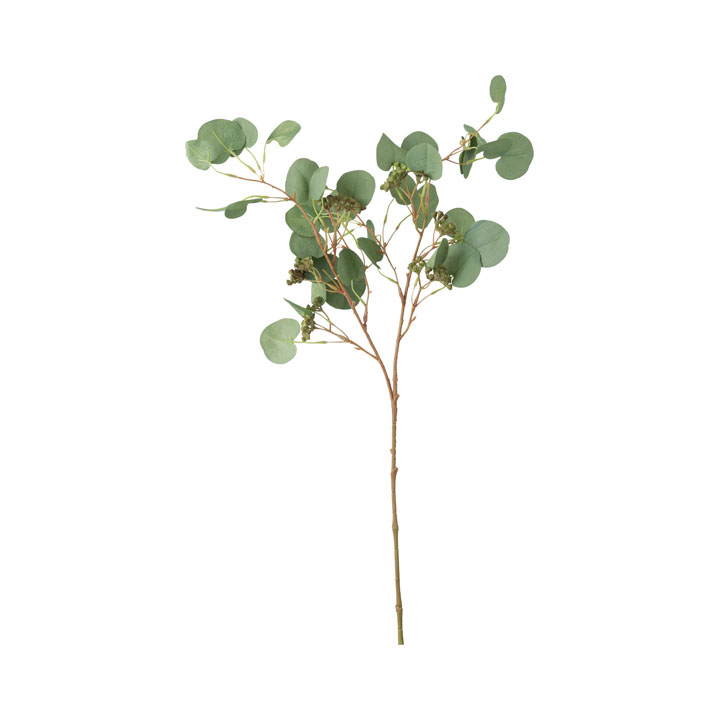 ユーカリベリースプレー