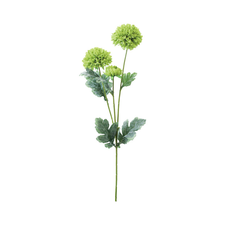 アスタースプレー