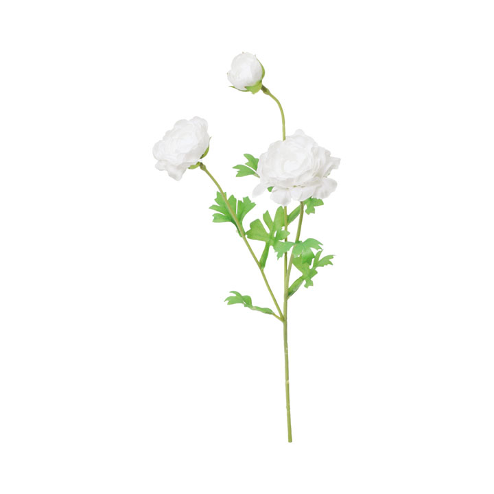 エチュードラナンキュラススプレー