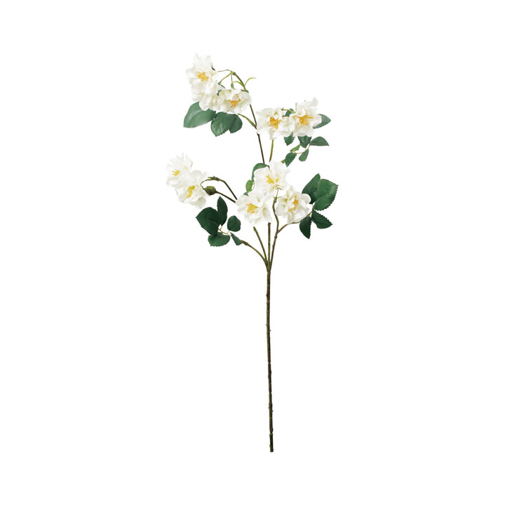 ミニガーデンローズスプレー