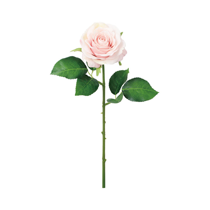 サンディーローズ