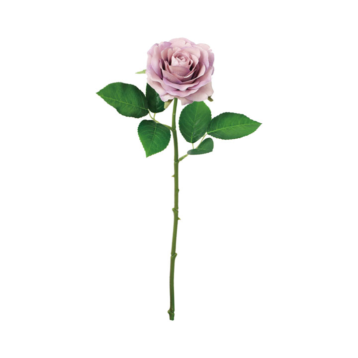 サンディーローズ