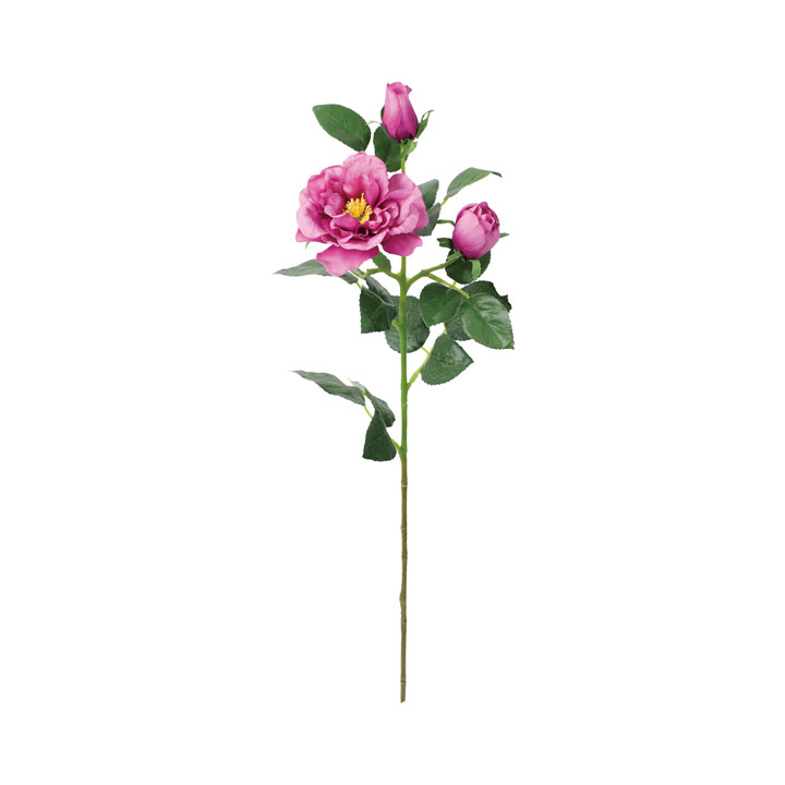 フリルガーデンローズスプレー