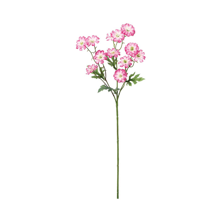 サンティニマムスプレー