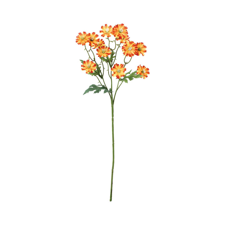 サンティニマムスプレー