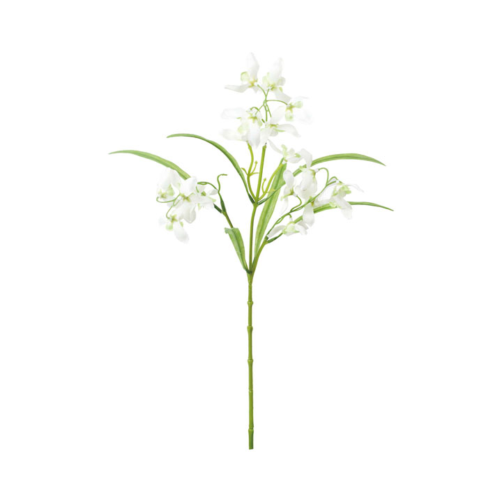 ナチュラルオーキッドスプレー