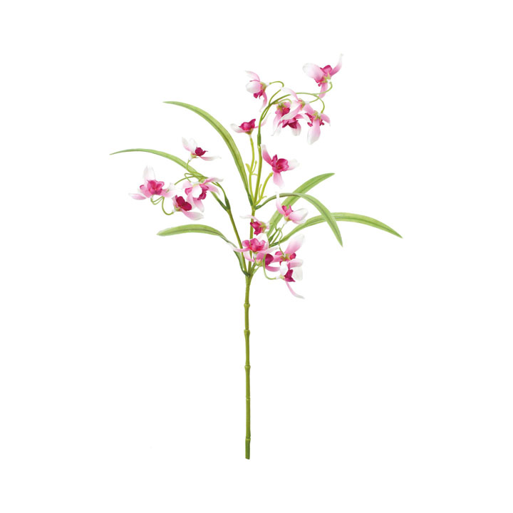 ナチュラルオーキッドスプレー