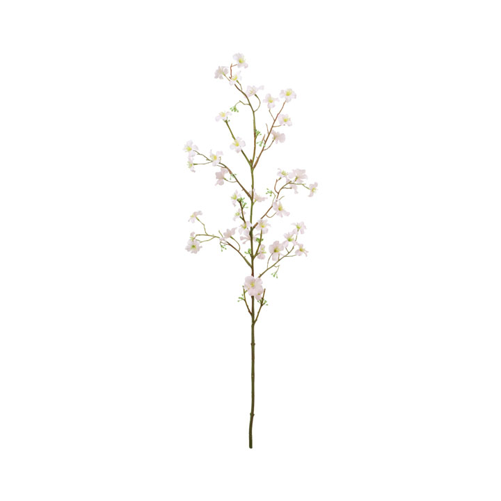 ブロッサムブランチ