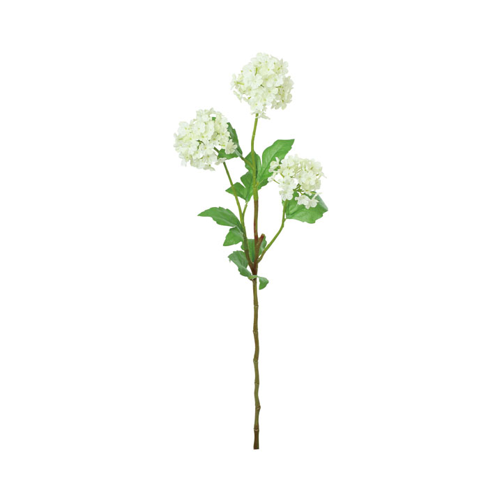 スノーボールブランチ