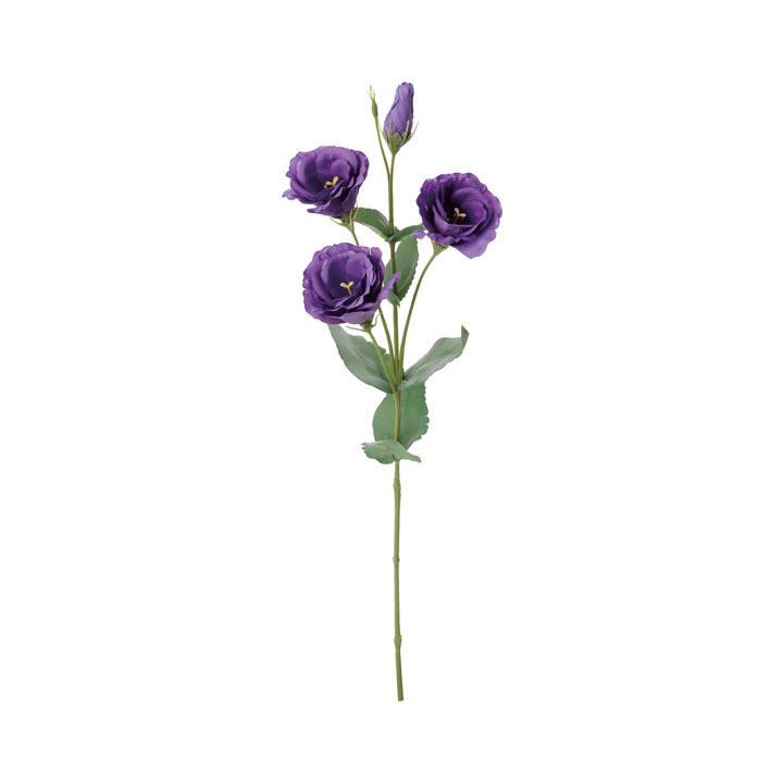 フリルリシアンサス