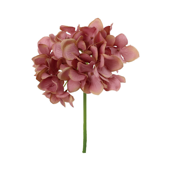 ハイドレンジアピック