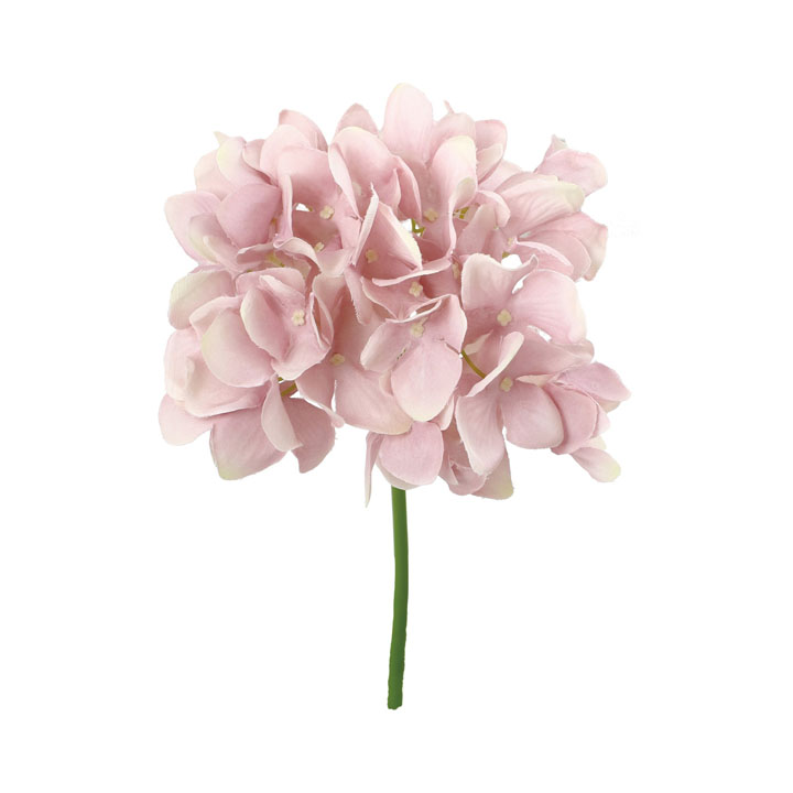 ハイドレンジアピック