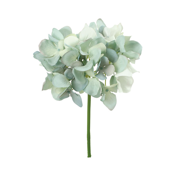 ハイドレンジアピック