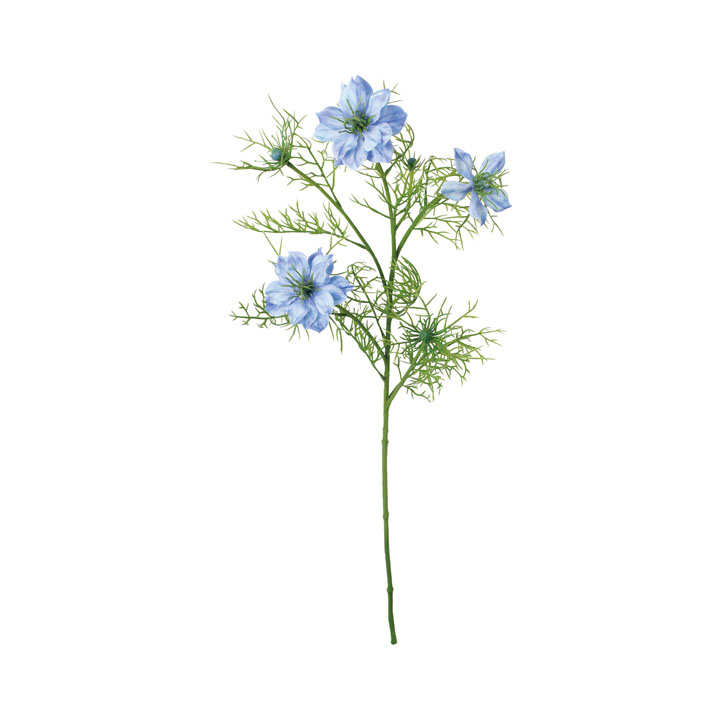 ニゲラスプレー