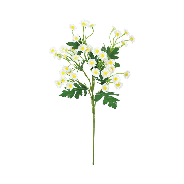 マトリカリアスプレー