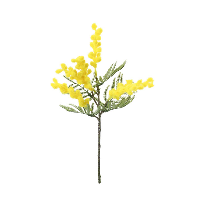 ミモザショート