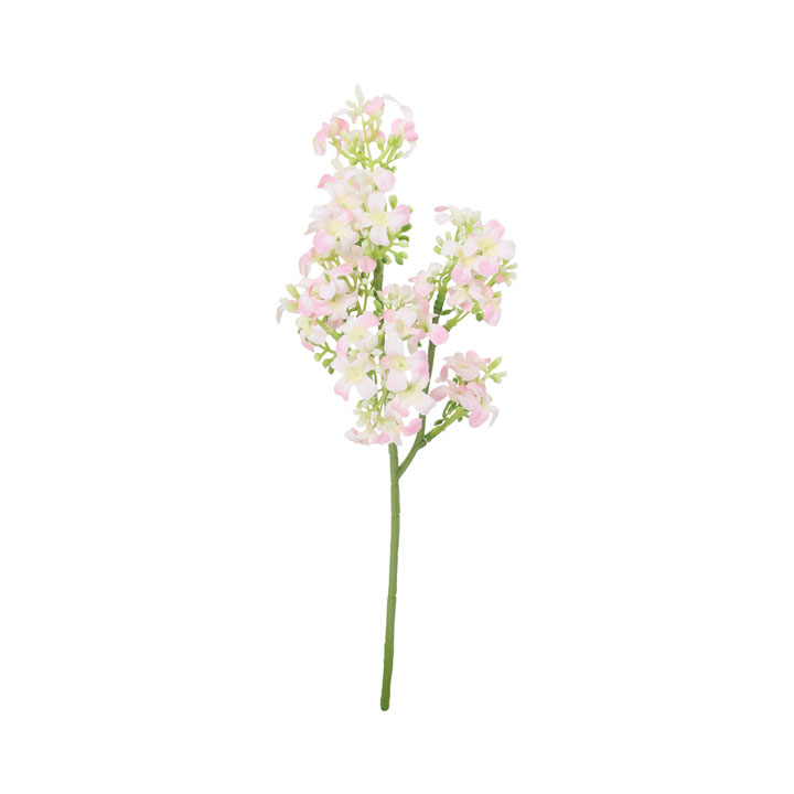 ライラックショート