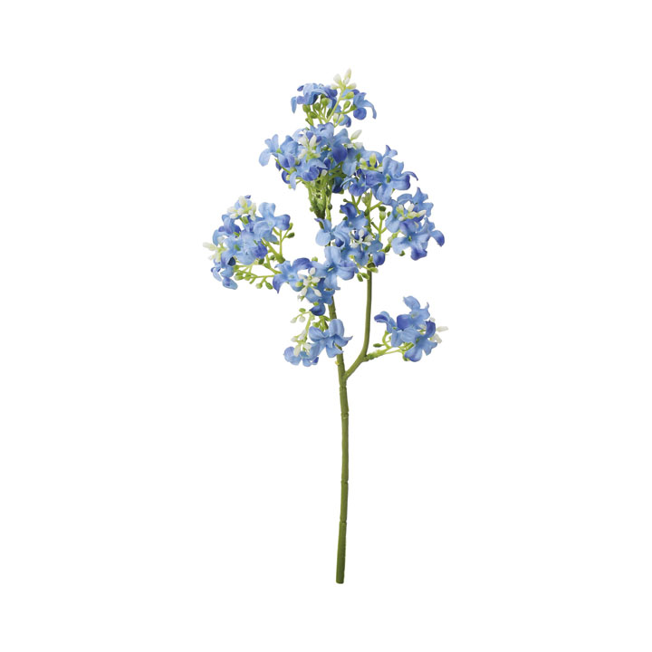 ライラックショート