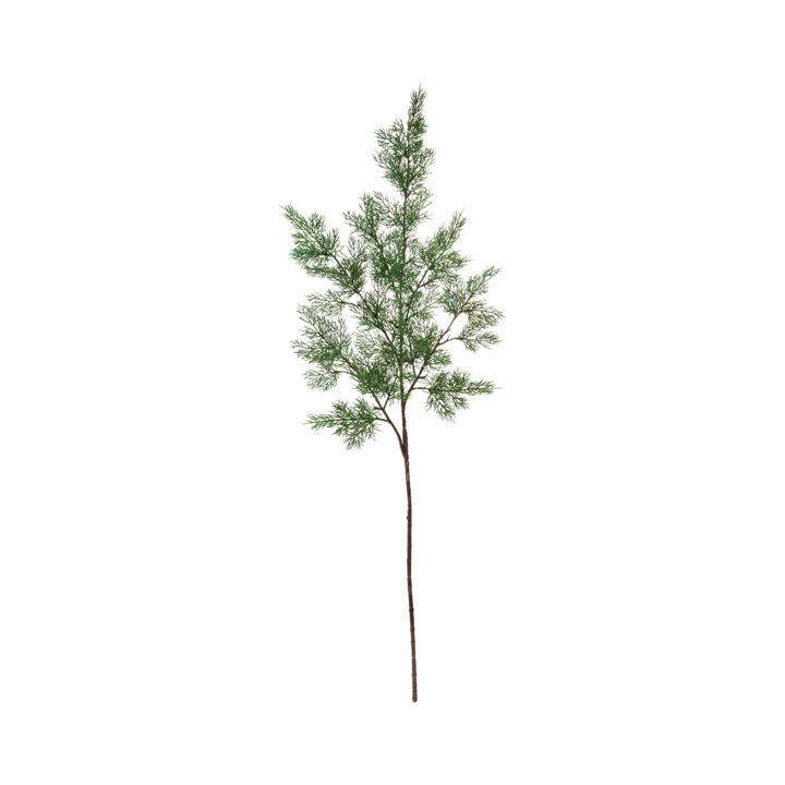 ジュニパーブランチ