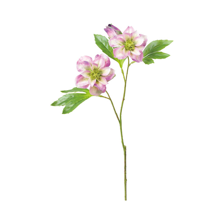 パーティードレスクリスマスローズ