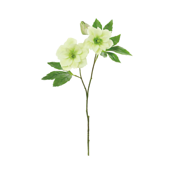 パーティードレスクリスマスローズ