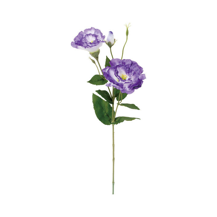 フリルリシアンサススプレー