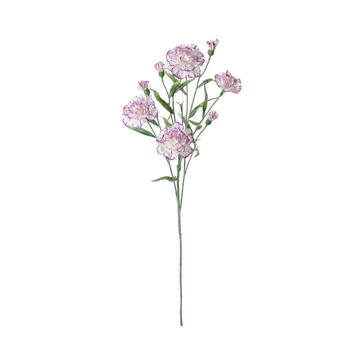 アリシアカーネーションスプレー