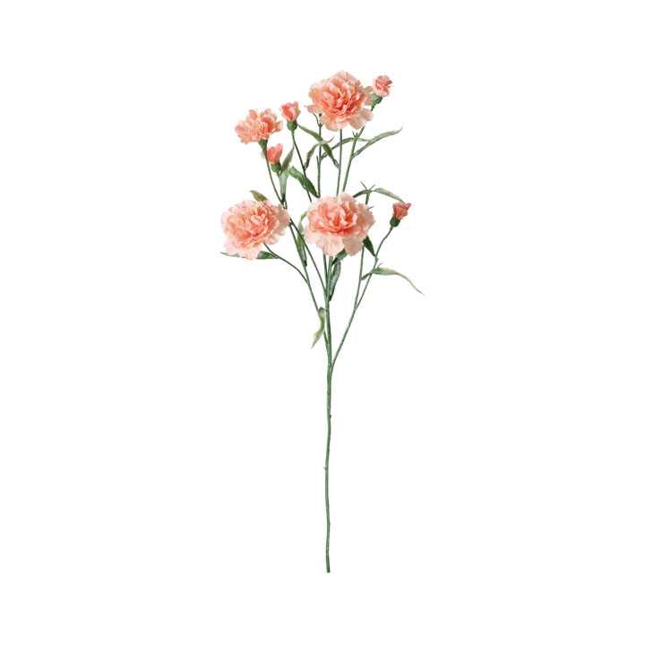 アリシアカーネーションスプレー